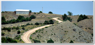 Multiple Traffic Lights